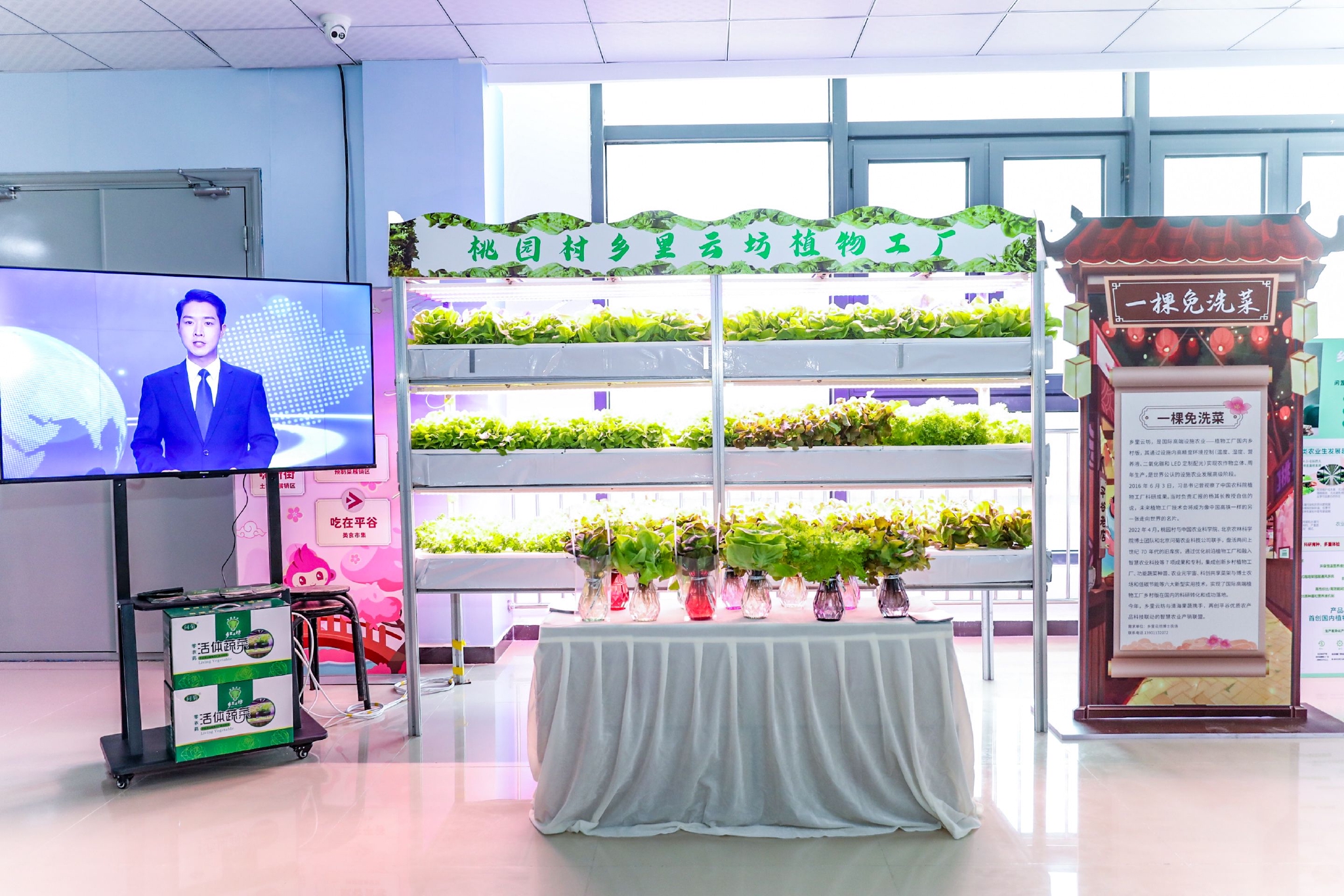 頭茬鮮桃擺進桃花海！平谷土特產與蔬菜零售攜手亮相