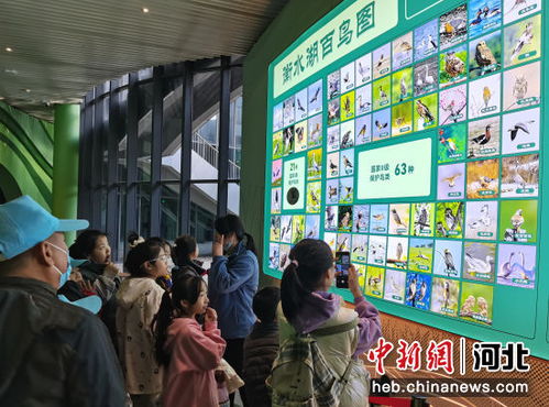 河北發布《研學旅游產品質量規范》地方標準，引領行業高質量發展
